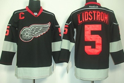 Detroit Red Wings #5 Nicklas Lidstrom Black Ice Jersey 